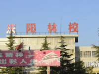 庆阳林业学校2023年招生录取分数线