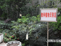 重庆风景园林技工学校2023年招生办联系电话