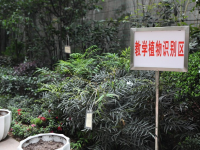 重庆风景园林技工学校2023年招生录取分数线