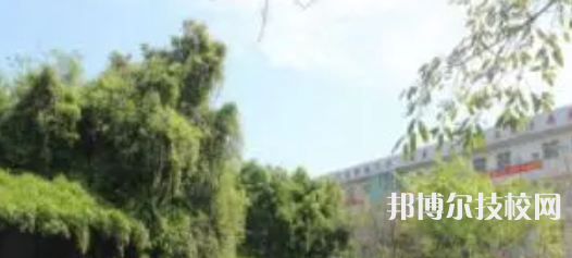 成都青华职业学校2022年招生录取分数线