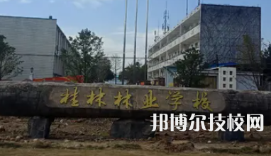 桂林林业学校2023年地址在哪里