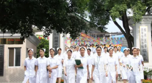 柳州市卫生学校2023年网站网址