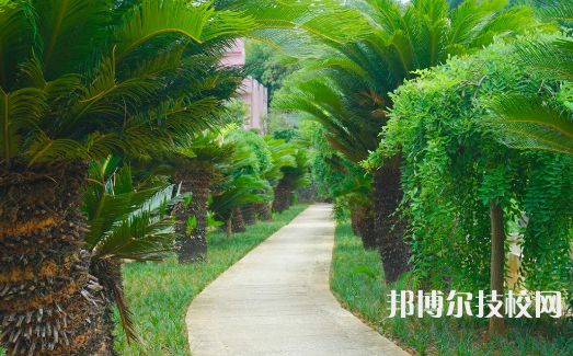 衡山县科技中等专业学校2023年网站网址