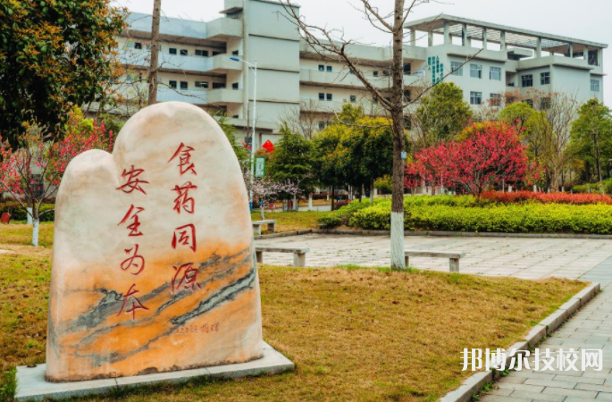 湖南食品药品职业学院历年招生录取分数线