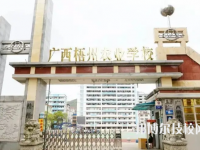 2025年贺州中专学校前十名有哪些