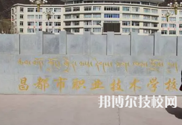 2023年西藏中专学校前十名有哪些