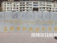 2025年西藏中专学校前十名有哪些
