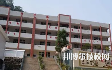 乐山卫生学校是中专还是大专（乐山卫生学校）