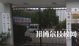 芜湖同文艺术学校是中专还是大专（芜湖同文艺术学校）