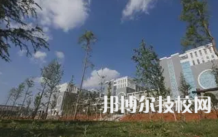 云南保山中专学校是中专还是大专（云南保山中专学校）