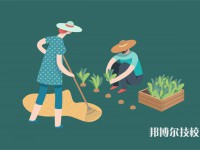 2025年延安初三毕业可以上的公办职业中学名单汇总