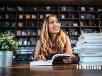 大同职业教育中心2025年招生的专业有哪些