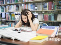 杭州美术职业学校2024年招生的专业有哪些