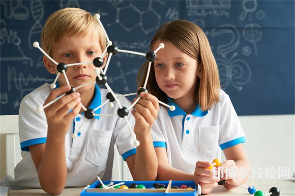 涿州天艺中等专业学校2024年招生的专业有哪些