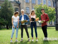 石家庄市安通中等专业学校2025年招生的专业有哪些